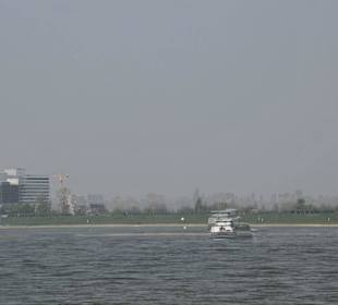 Blick über den Rhein