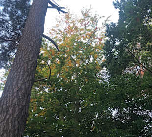 Wandern Binz auf Rügen