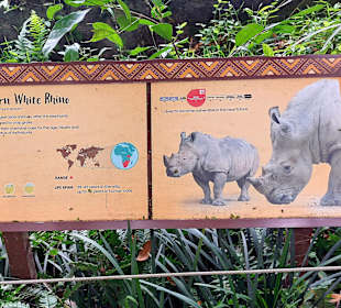 Singapur Zoo