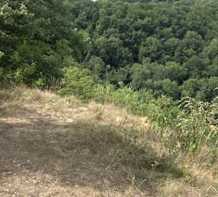 Wandertour Stahleck Greifenstein