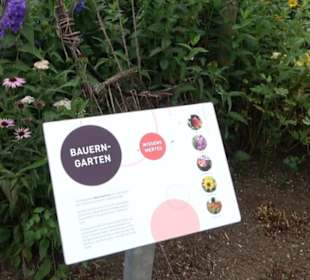 ALB-GOLD Naturgarten