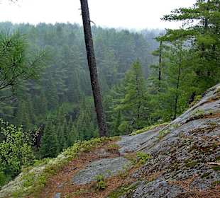 Algonquin Provincial Park, Two Rivers Trail