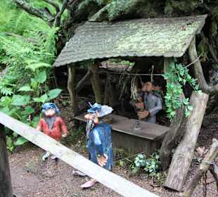 Лесной маршрут: найди тетерева