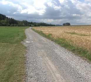 Wanderweg Ammerbucher Gigeleswegle