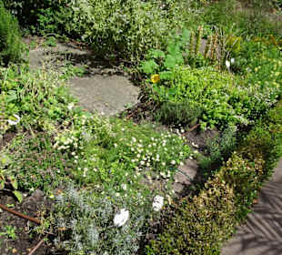 Der Bibelgarten des Bremer Doms