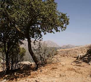 Belohnung für den Aufstieg