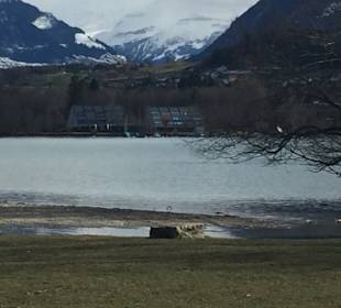 Thuner See