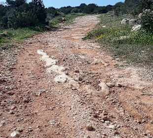 Nationalpark Kap Greco