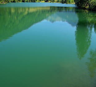 Der Grünsee