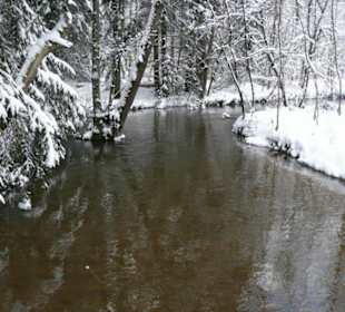 Im Winter