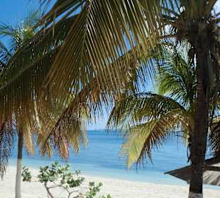 Auf der kleinen Insel