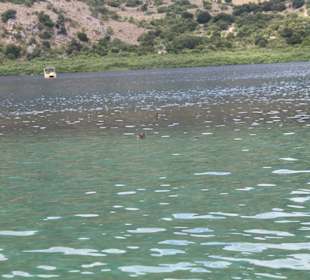 Озеро Курнас 