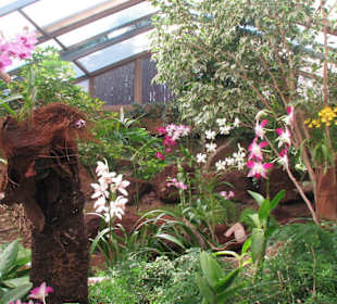 Orchideenhaus