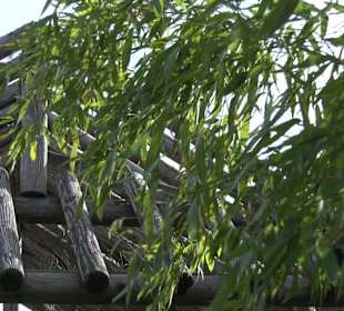 Japangarten Stuttgart