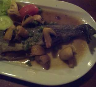 Gegrillte Forelle