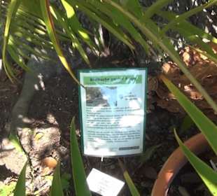 Botanischer Garten