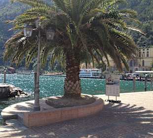 Bei der Altstadt am Hafen Promenade