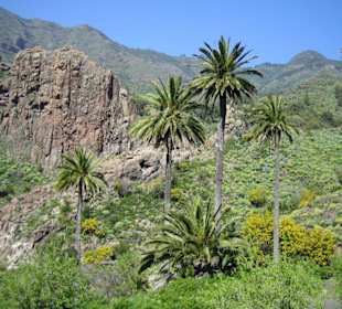 Landschaft am Wegesrand