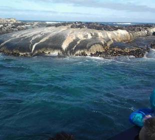 Boulders BeachBoulders Beach