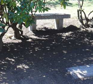 Grab von Leoanrd Bernstein