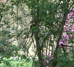 Moritzschlösschen Wallerstein