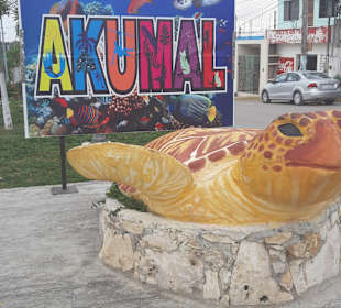 Stadtrundgang Akumal