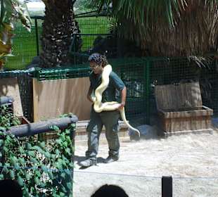 Oasispark - Reptilienschau