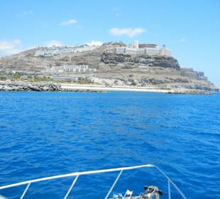 Amadores vom Boot aus