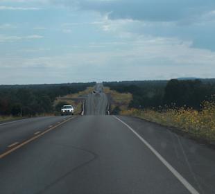 Sulla strada per Painted Desert