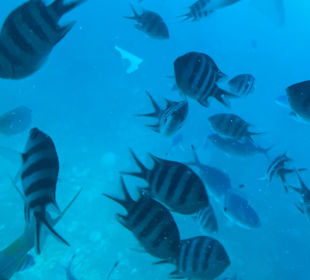 U-Boot Tour Hurghada