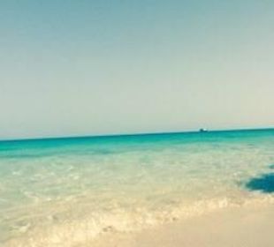 Schorcheln Tour mit Halt an einer Insel