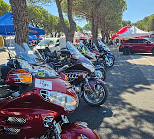 38. Bikerfest Lignano 05/2024