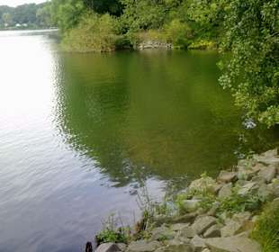 Renaturierungsbereich Wolfssee