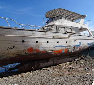 Eins von vielen Pflegefällen