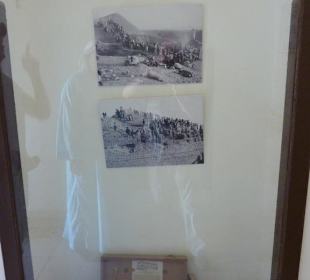 Carter´s House