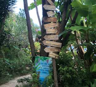 Inselrundfahrt Korfu