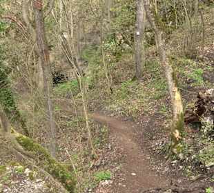Wanderung rund um das Rusenschloss Gerhausen