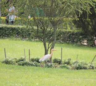 Viktoria Memorial Kalkutta