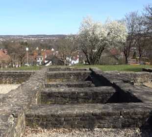 Premiumwanderweg "hochgeblickt"