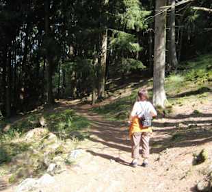 Waldwanderweg