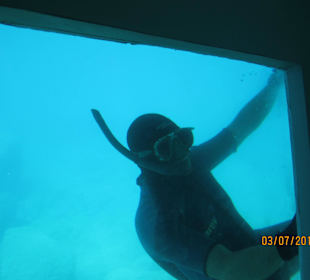 Taucher - Vorführung.