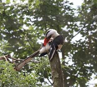 ZOOM Erlebniswelt Gelsenkirchen