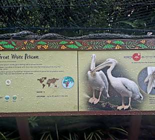 Singapur Zoo