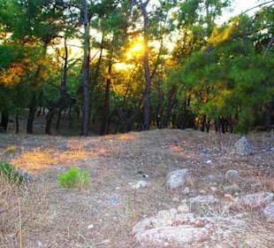 Sulahikulle - Vergessene Stadt