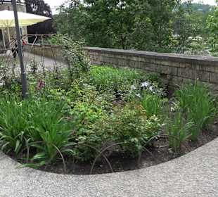 Zollernschloss Balingen