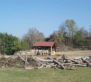 Safaripark