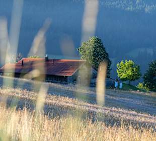 Rundwanderweg Baiersbronn