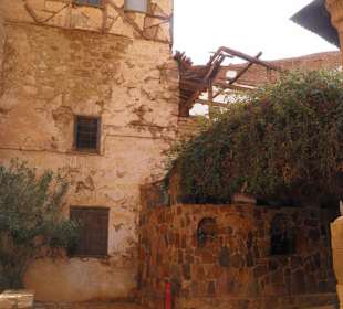 Der brennende Dornbusch