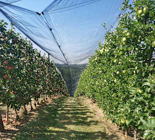 Wandern Bad Gleichenberg