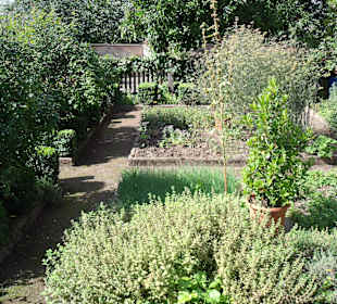 Wurzgarten